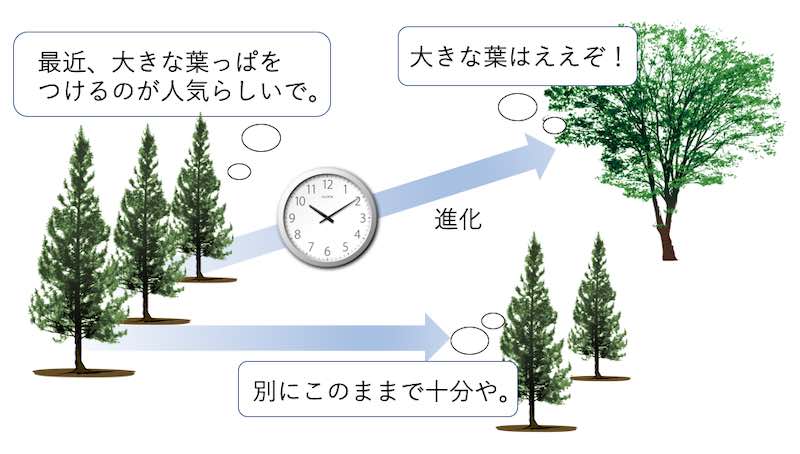 木の進化のイメージ